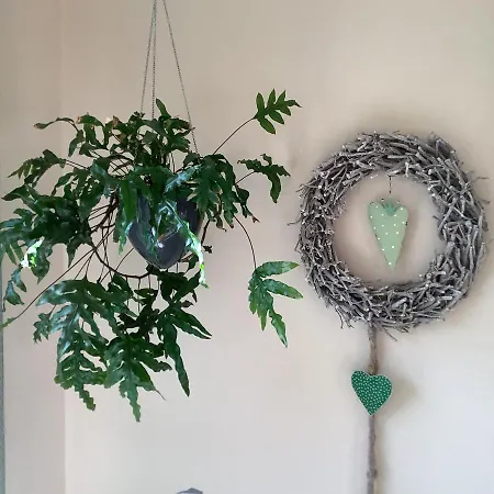 Helle Freundliche 50qm Mit Garten Zum Wohlfuehlen *