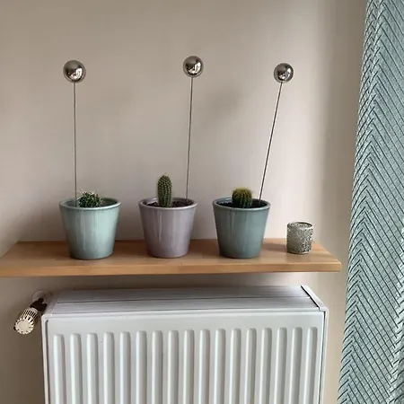 Appartement Helle Freundliche 50qm Mit Garten Zum Wohlfuehlen *