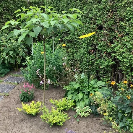 Helle Freundliche 50qm Mit Garten Zum Wohlfuehlen *