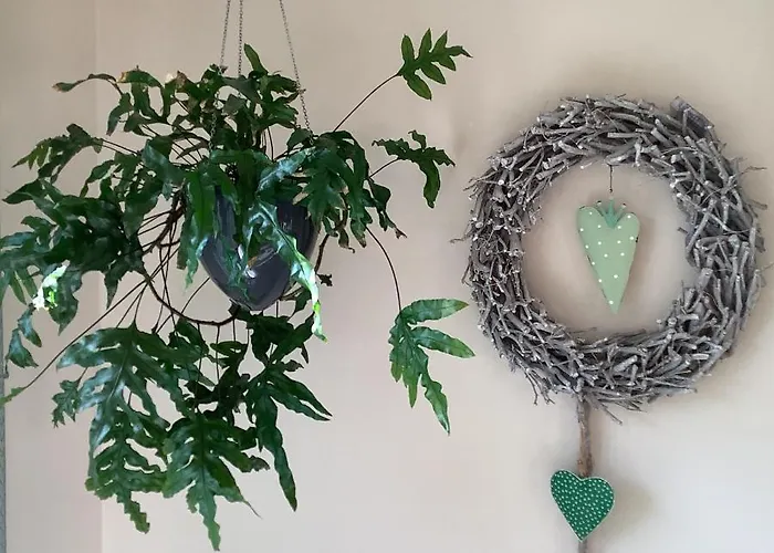 Helle Freundliche 50qm Mit Garten Zum Wohlfuehlen *