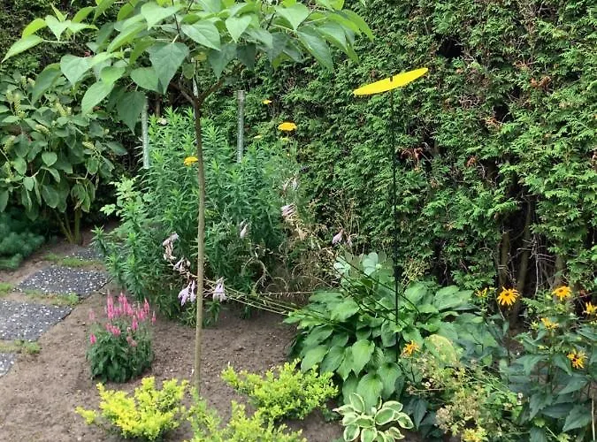 Helle Freundliche 50qm Mit Garten Zum Wohlfuehlen *