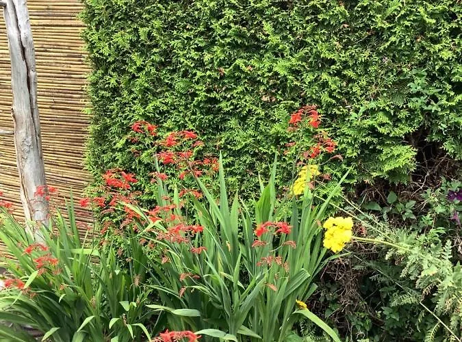 Lägenhet Helle Freundliche 50qm Mit Garten Zum Wohlfuehlen *